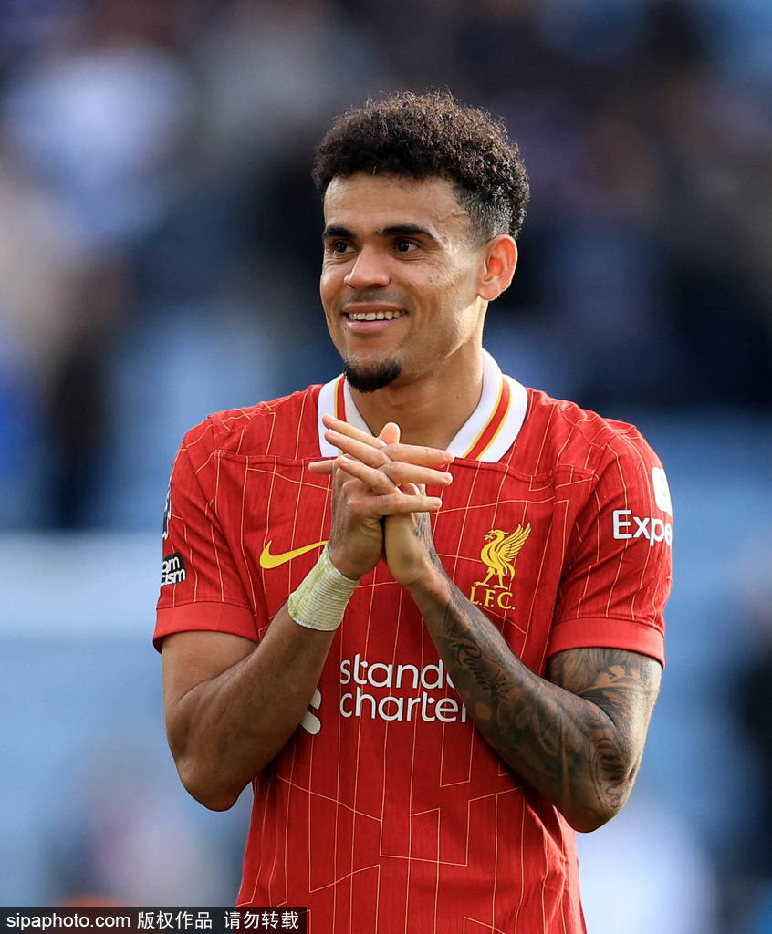 手张三是本 手张三是本