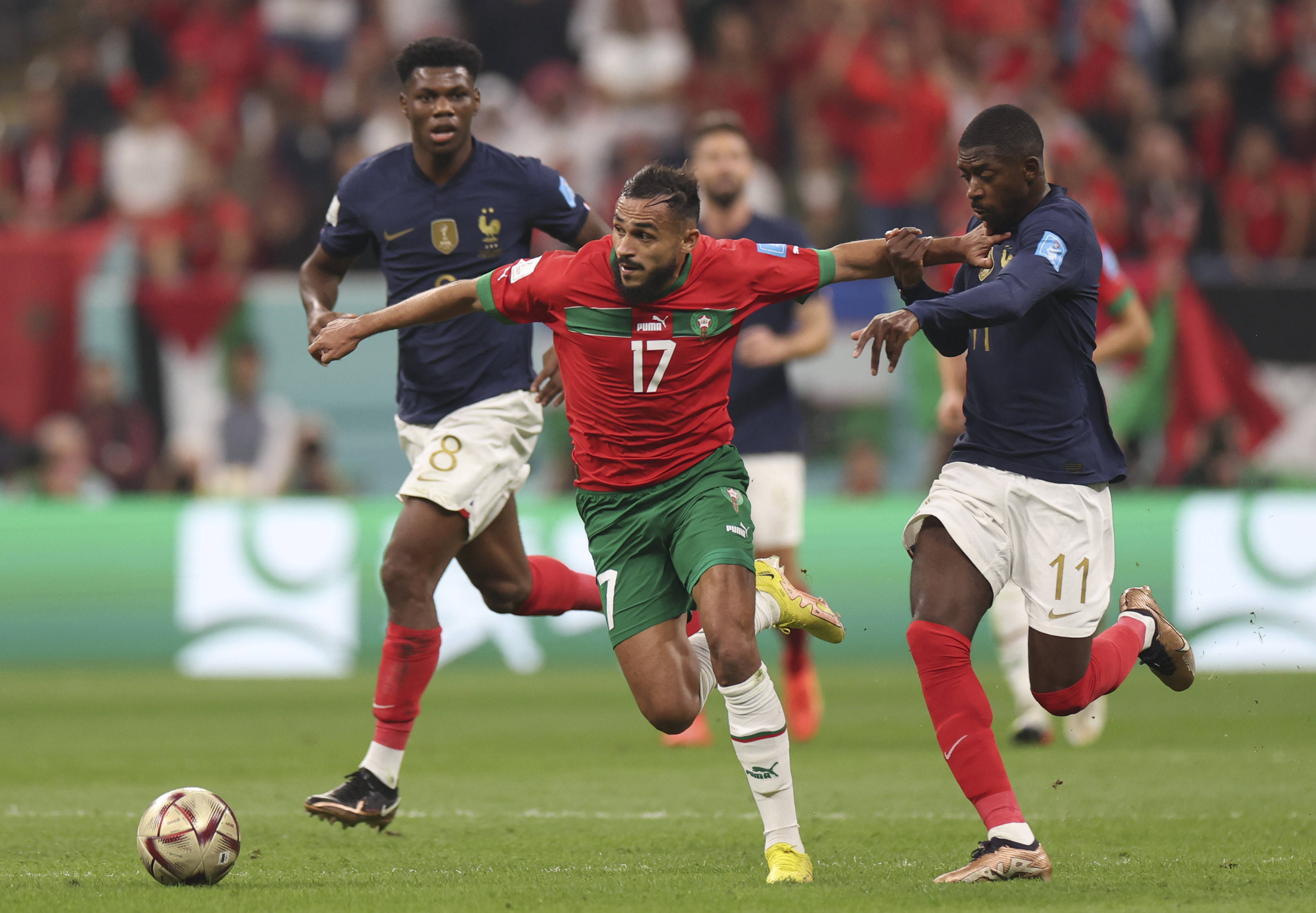 65万欧元 65万欧元